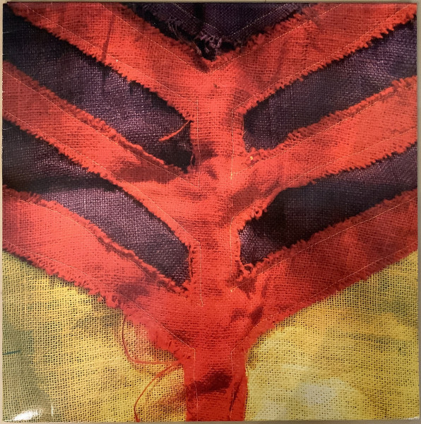 Yeah-Yeah-Yeahs–Show-Your-Bones–LP–COMPRAR-LP-ONLINE