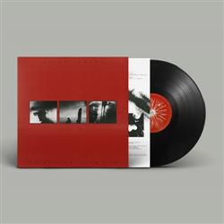 Adios-Cometa-Un-Destello-De-Luz-LP-COMPRAR-LP-ONLINE-vinilo