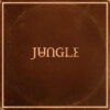 Jungle "Sunshine" Indies Exclusive LP