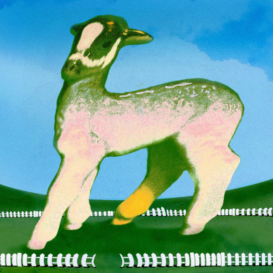 Mena "Recodos territoriales" LP