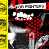 Foo Fighters "Your Favorite Toy" LP Indies