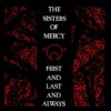 The Sisters Of Mercy "First and Last and Always" L