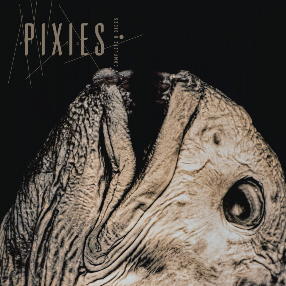 Pixies "Complete B Sides: 1988-97" Clear 2LP