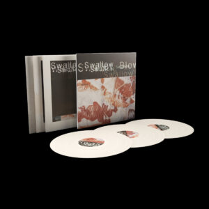 blown-swallow-comprar-lp-online