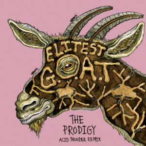 Sleaford Mods "Elitest G.O.A.T - The Prodigy Acid