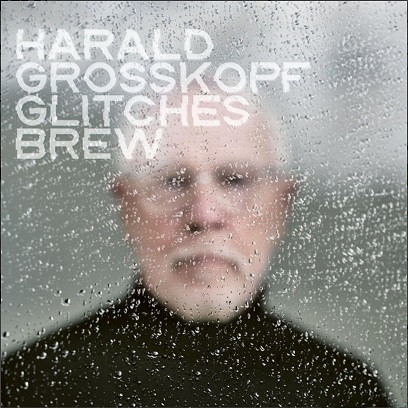 Harald Groaakopf "Glitches Brew" LP