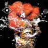 Bjork "Biophilia" 2LP