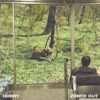 Hurry "Zoned Out" Green LP