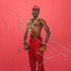Tyler The Creator "Don't Tap The Glass" LP