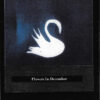 Mazzy Star "Among My Swan" CD