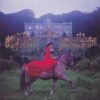 The Liquorice Experiment "Million Faces" LP