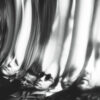 Ty Segall "Chrome" LP