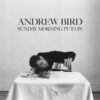 Andrew Bird "Sunday Morning Put-On" LP